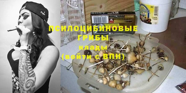 альфа пвп Елизово