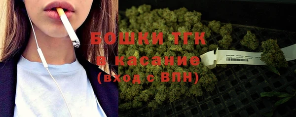 прущие грибы Заводоуковск